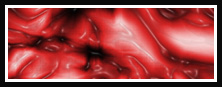 Organic Raw Flesh